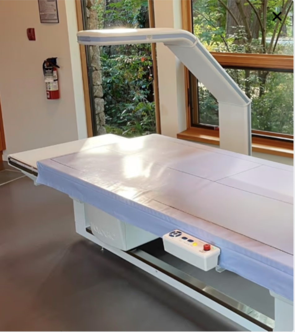 DEXA scanner at Vitalist Bay